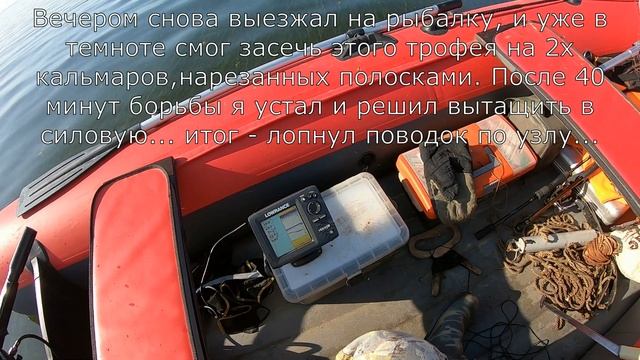 Рыбалка на СОМА! Бешеный клев! смотреть онлайн