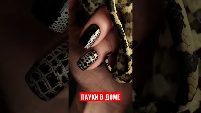 Питон - Харитон смотреть онлайн