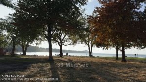 Apple LOG h.265 vs ProRes 422 HQ | Blackmagic Camera App on iPhone 15 Pro Max