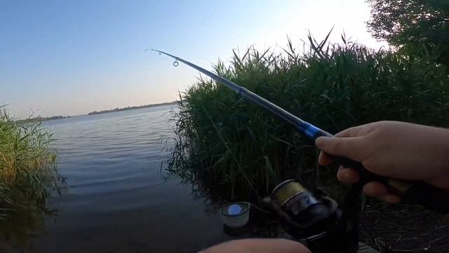 Рыбалка в Шатуре на Донки . Все зачётные места заняты, пришлось ловить где прийдется. смотреть онлайн