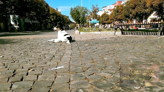 Звуки города - Шум городской улицы смотреть онлайн