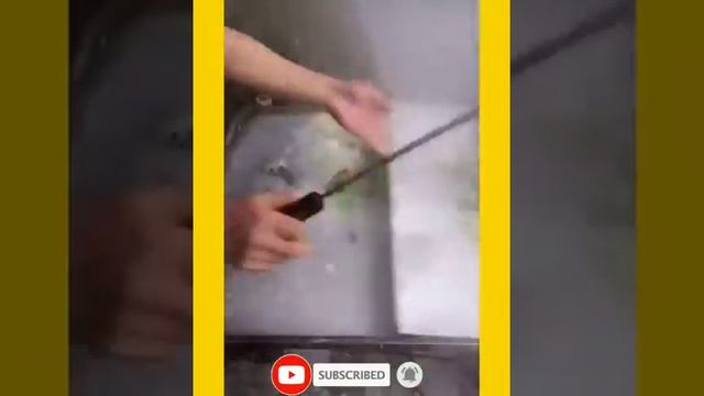 УДИВИТЕЛЬНАЯ КУХНЯ.ПОВОРА ИЗ КИТАЯ