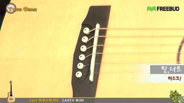 [프리버드] 56회 통기어 Cort(콜트) 어쿠스틱기타 EARTH Mini смотреть онлайн