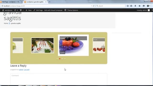Carousel Slider for WordPress смотреть онлайн