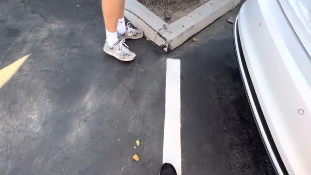 Что растет на пальме смотреть онлайн