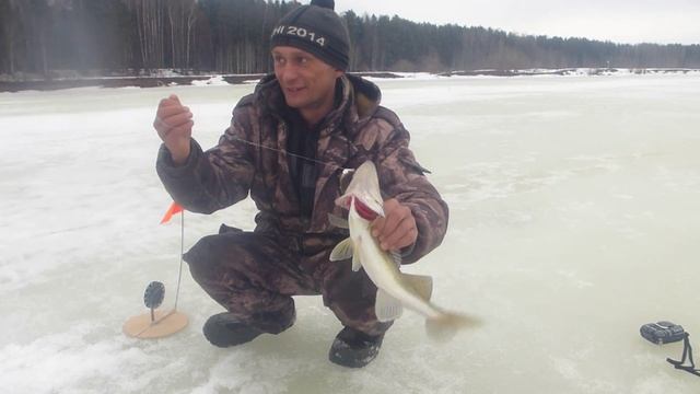 судак маленький в апреле смотреть онлайн