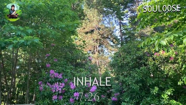 15 Minutes Guided Mindfulness Meditation With Concentration On Breath - Souloose смотреть онлайн