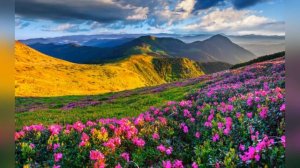 Ченнелинг. Как разрешить проблемы в личной жизни и финансах? Екатерина Карпухина