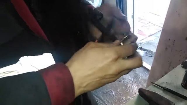 Дом, Где Царит Дизайн