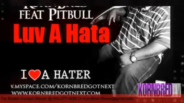 I Luv A Hata Feat Pitbull смотреть онлайн