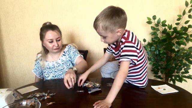 Конфеты ужасного вкуса смотреть онлайн