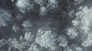 РУХ БУЧИЛА | Уйти и вернуться | Иван Белов