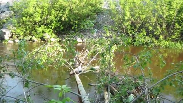 Дом бобров в Алапаевске смотреть онлайн