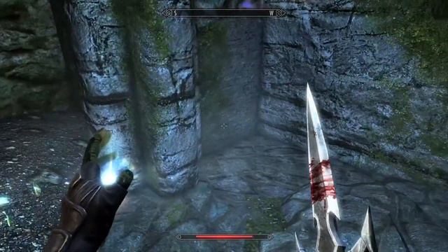 Skyrim SE #84