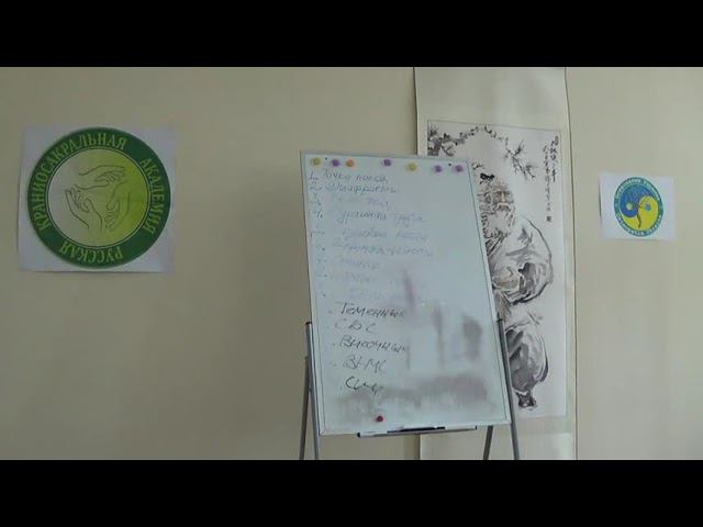 Семинар Краниосакральная терапия 2 КСТ2_014 смотреть онлайн
