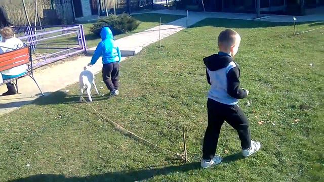 Руслан пасет овечек смотреть онлайн