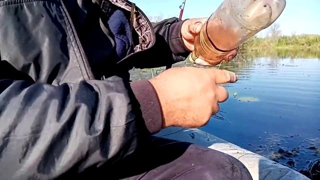 Рыбалка в Беларуси. Ловлю на живца. Старое русло Припяти. 1 июля 2021года. смотреть онлайн