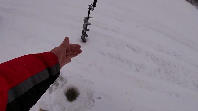 окунь и щука на балансир Рыбалка на реке Вологда.Суперклев. смотреть онлайн