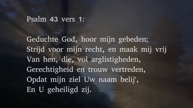 Psalm 43 vers 1 en 4 - Geduchte God, hoor mijn gebeden смотреть онлайн