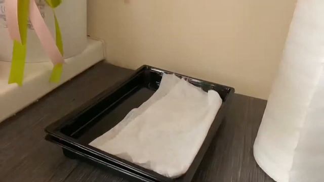 Микрозелень дома без земли. Горох и микс салата. смотреть онлайн