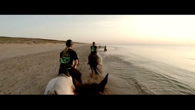 как весело проводить время с конниками) смотреть онлайн