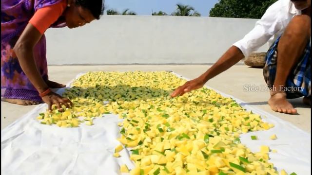 Fresh !! Dry Mango Pickle | Raw Mango Pickle | Mango Pickle Making My Mom & Dad | Side Dish Recipes