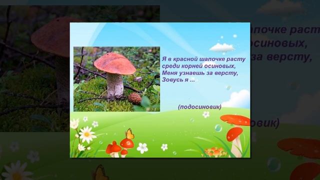Грибное царство, грибное государство смотреть онлайн