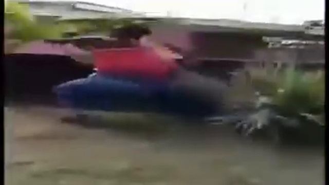 негры дерутся за кишмиш 360p смотреть онлайн