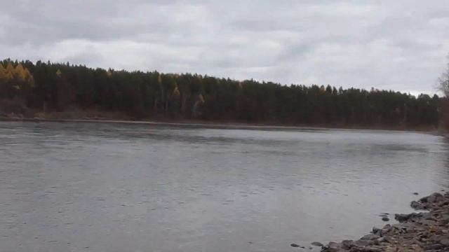 Дикие козы смотреть онлайн