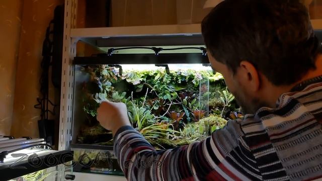 Человек, который занимается прекрасным. смотреть онлайн