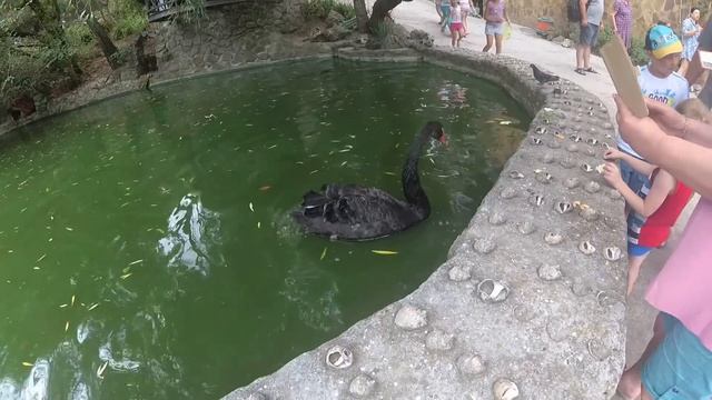 Ялтинский зоопарк 