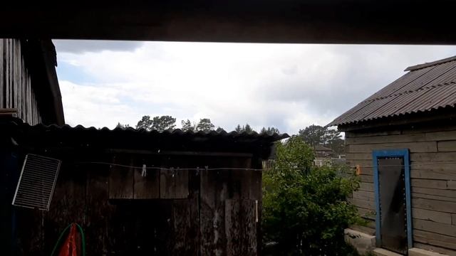Как посадить картошку. Сажаем элитный сорт картофеля. Амурская усадьба. смотреть онлайн