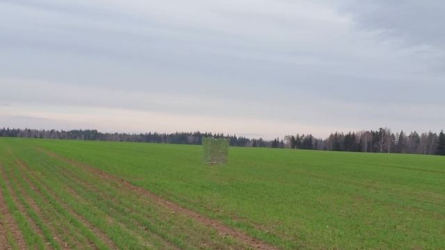 ЗЕРКАЛЬНЫЙ СКРАДОК ДЛЯ ОХОТЫ НА ГУСЯ. КАК РАБОТАЕТ НА ОЗИМЫХ. ЗЕРКАЛЬНЫЙ СКРАДОК СВОИМИ РУКАМИ. смотреть онлайн