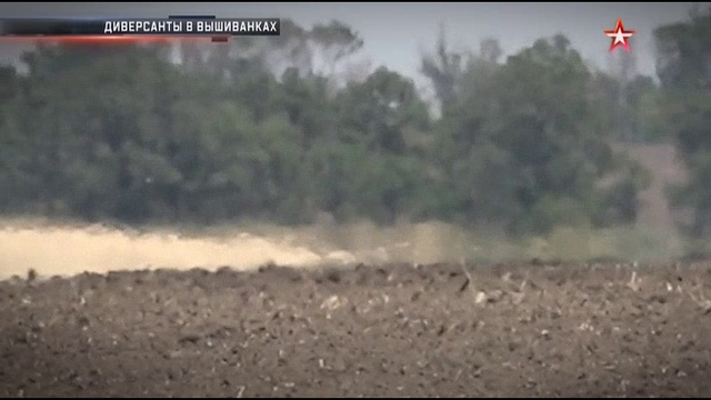 Поли смотреть онлайн