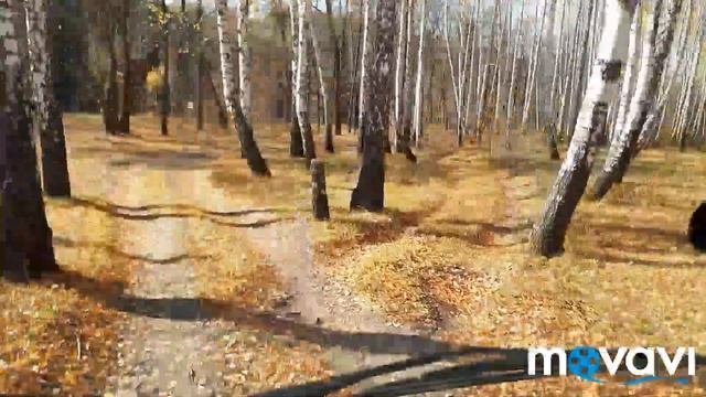 Охотничий домик на деревьях, очень красивый и прикольный, с бойницами, столиком, лавками, картинкам смотреть онлайн