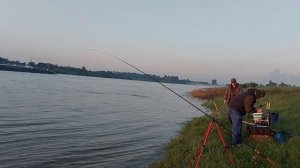 Ловля Усача (Barbe) на реке. Rhein.