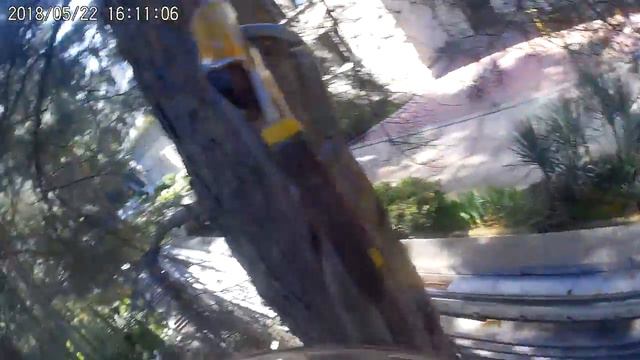 Арборист(1) смотреть онлайн
