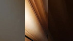 как отмыть сильно загрязненный линолеум