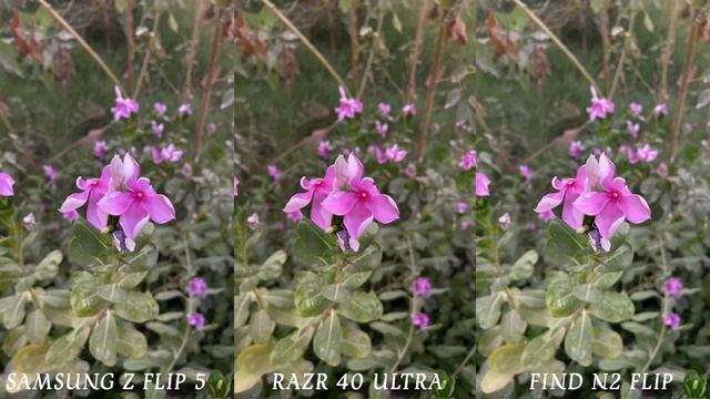 Samsung Galaxy Z Flip 5 VS Motorola Razr 40 Ultra VS Oppo Find N2 Flip Camera Test смотреть онлайн