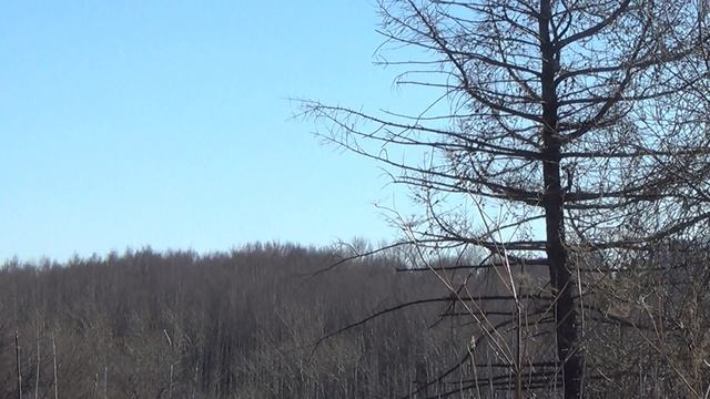 Гуляем по старой Перми смотреть онлайн