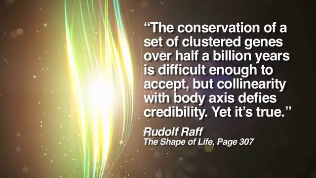 Was Evolution Inevitable? смотреть онлайн