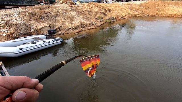 КАК ЛОВЯТ ОСЕТРА В КОКИНО.День первый смотреть онлайн