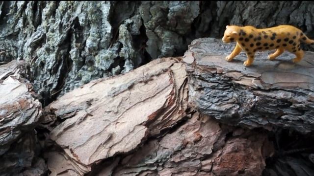 Весна и Животные смотреть онлайн