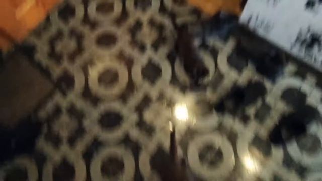 ОТДАДИМ КОТЯТ В ХОРОШИЕ РУКИ!!! ТРИ МИЛЫХ КОТЁНКА!!! смотреть онлайн