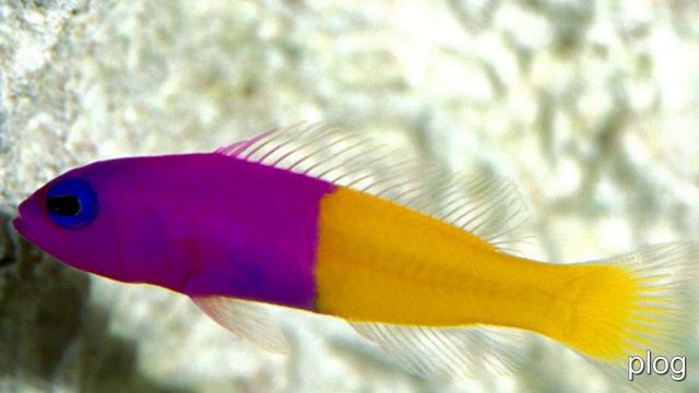 загадки для детей смотреть онлайн