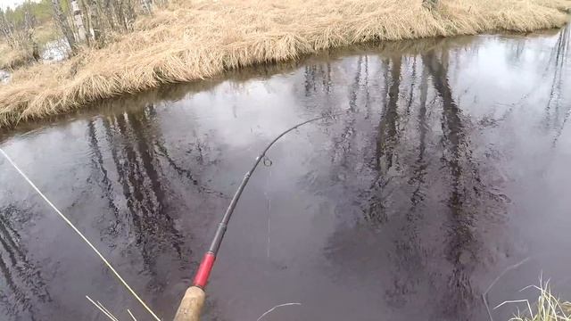 Трофеи маленькой речки! Язь дал жару на лайтовый спиннинг с мормышкой! смотреть онлайн