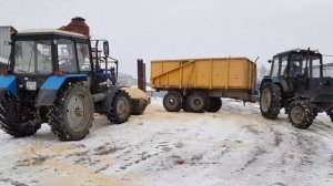 Посевной компании - БЫТЬ ! Купили семена клевера/тимофеевки/кукурузы. Возим опилки / навоз