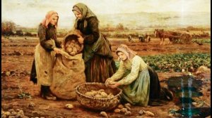 История культивирования картофеля в России