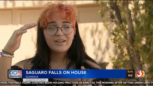 What to do if a Saguaro cactus falls on your house смотреть онлайн