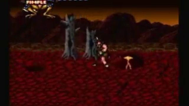 Battletoads in Battlemaniacs - Level 1 skip смотреть онлайн